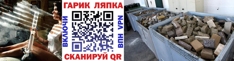 Гашиш убойный хочу наркоту Каргополь