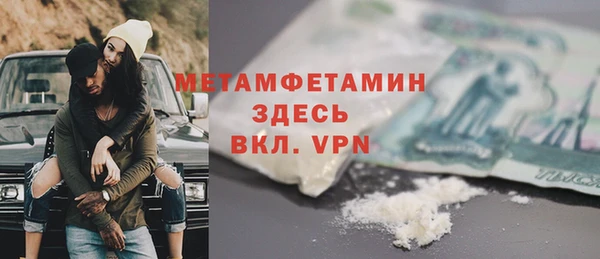 сатива Осинники