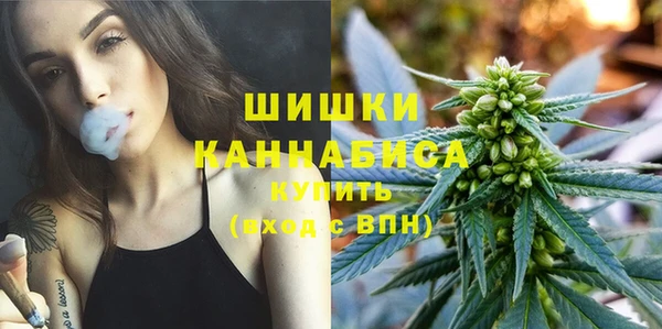 ГАЛЛЮЦИНОГЕННЫЕ ГРИБЫ Абинск