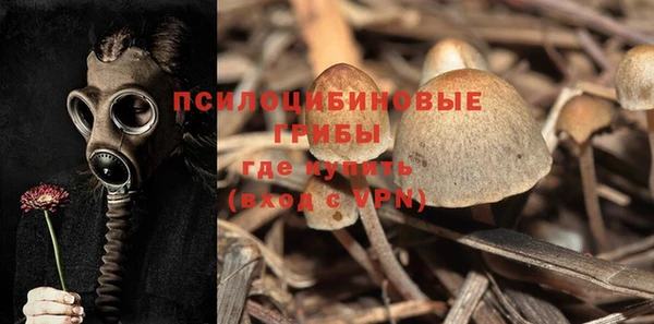 ГАЛЛЮЦИНОГЕННЫЕ ГРИБЫ Абинск