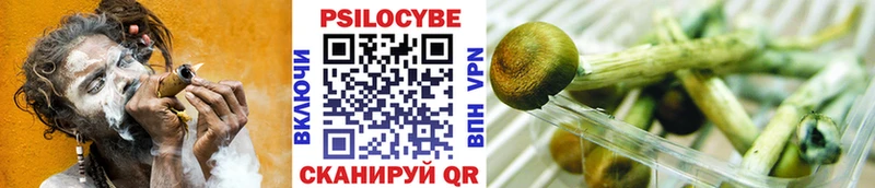 Галлюциногенные грибы мухоморы  Каргополь 